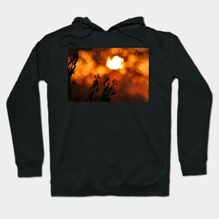 Inferno Hoodie